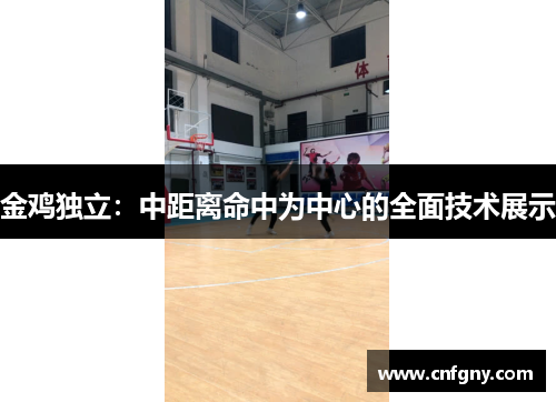 金鸡独立:中距离命中为中心的全面技术展示 金鸡独立:中距离命中为中心的全面技术展示